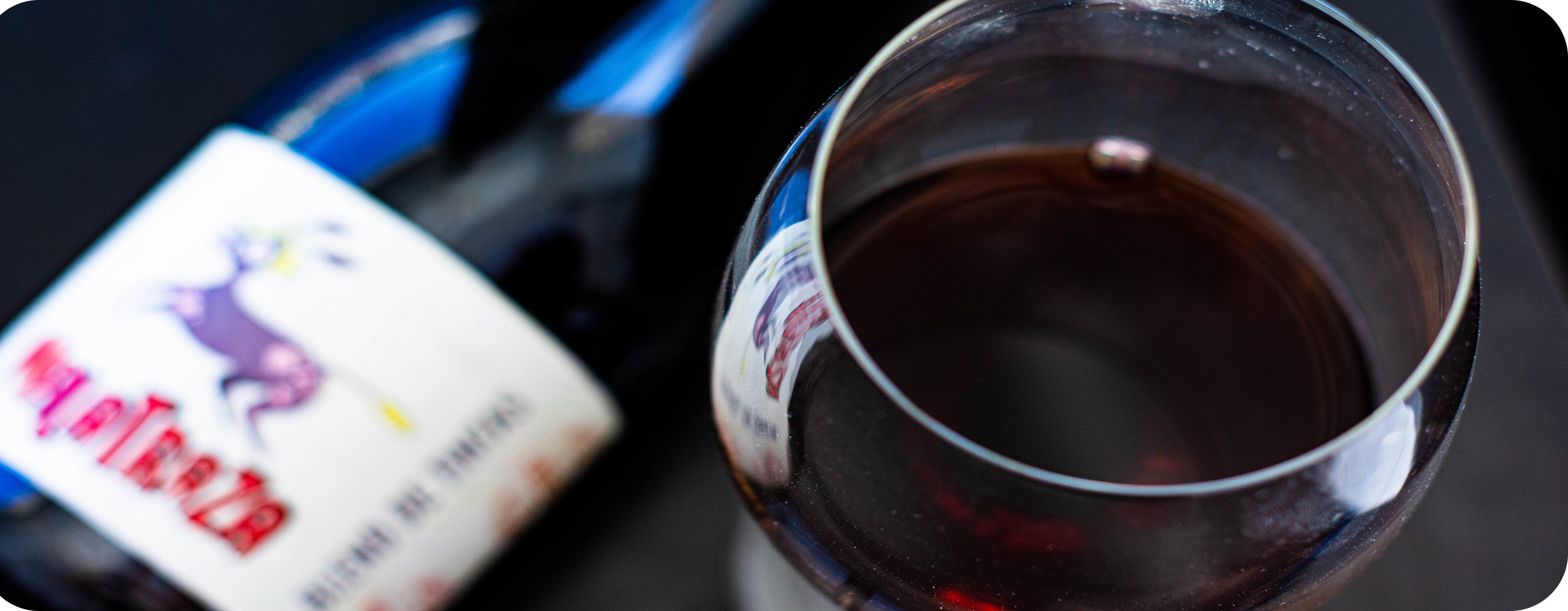 Wine Not - Concepts, Styles and Premium Elegance